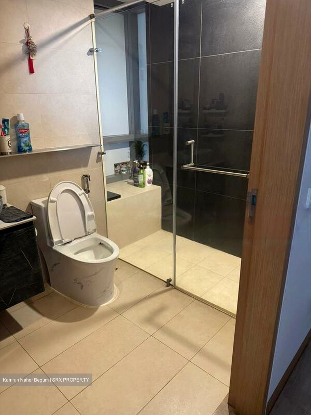 SilverSea (D15), Condominium #481388601